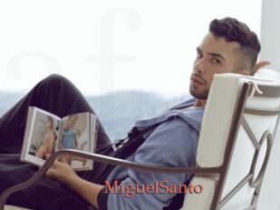 MiguelSanto