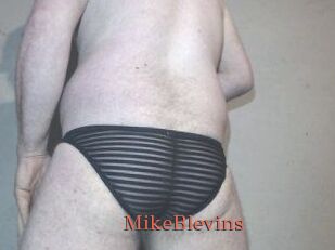 Mike_Blevins