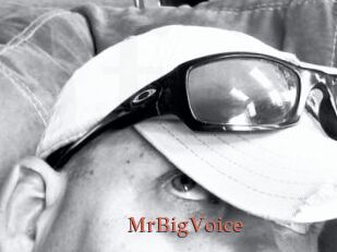 MrBigVoice
