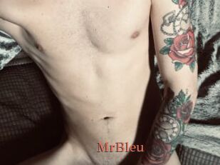 MrBleu
