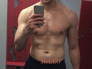 MrLEO