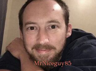 MrNiceguy85