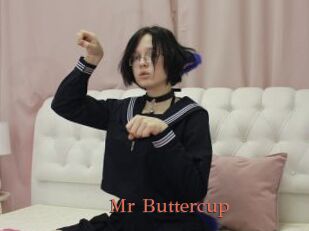 Mr_Buttercup
