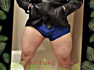 Mr_Hawg_Walla