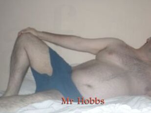 Mr_Hobbs