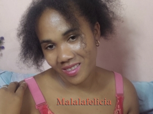 Malalafelicia