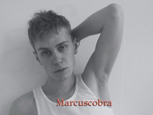 Marcuscobra