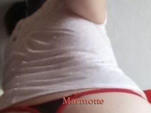 Marmotte