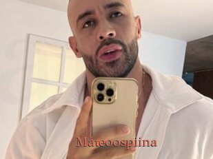 Mateoospiina