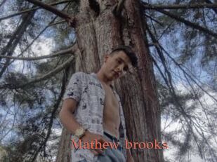 Mathew_brooks