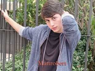 Mattrobert