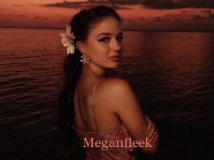 Meganfleek
