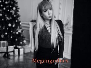 Megangodnes