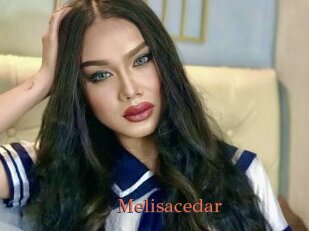 Melisacedar