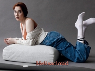 Melisacloud