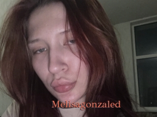 Melisagonzaled