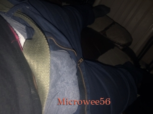 Microwee56