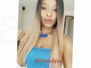 Mirleidycat