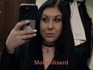 Mollyblizard