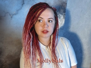 Mollybuls