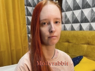 Mollyrabbit