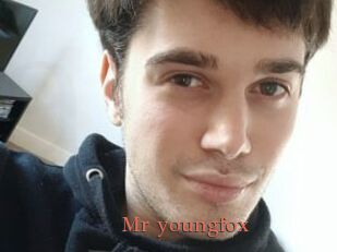 Mr_youngfox