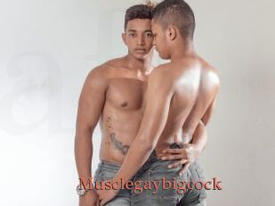 Musclegaybigcock