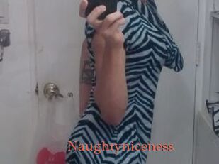 Naughtyniceness