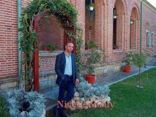 NiceCoolGuy