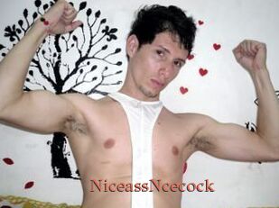NiceassNcecock