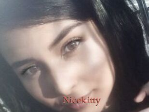 Nicekitty