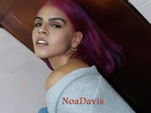 NoaDavis