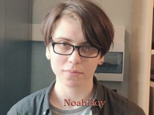 NoahBoy