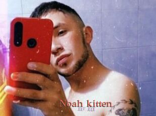 Noah_kitten