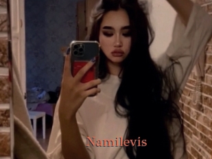 Namilevis