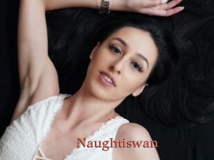 Naughtiswan