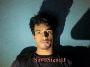 Naveengadil