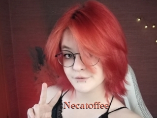 Necatoffee
