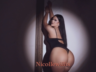 nicollewillis Anal Favorite