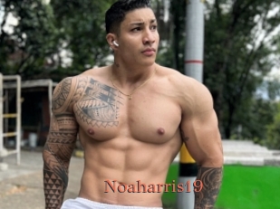 Noaharris19