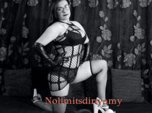 Nolimitsdirtyamy