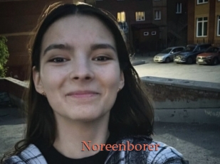Noreenborer