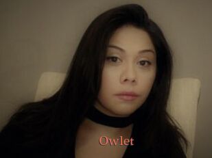 _Owlet_