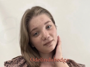 Odelindahedge