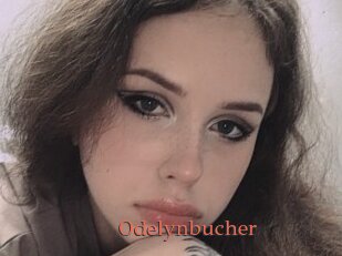 Odelynbucher