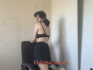 Odettacaecus