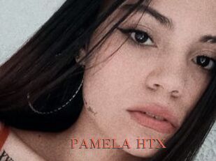 PAMELA_HTX