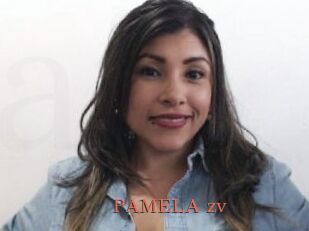 PAMELA_zv