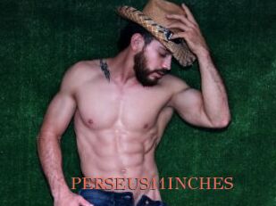 PERSEUS11INCHES