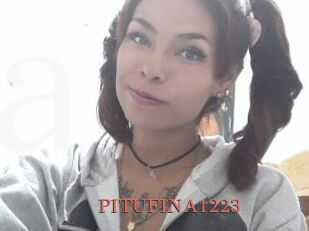 PITUFINA1223